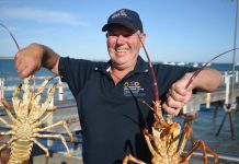 Lobster for Christmas