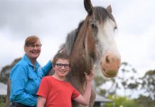 Horse therapy proves effective