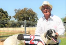 Local syndicate hoping it is second time lucky in Christmas Cup