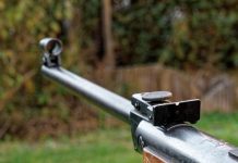 Firearm licences online