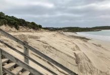 Beach erosion fixed at Southend