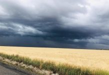 GRDC sponsorship applications now open