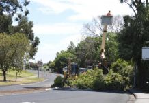 Tree closes Bay Road