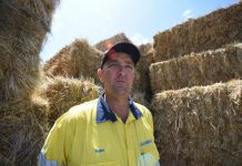 Mount Gambier Citizen of the Year