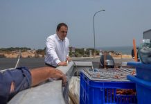 New South Korean lobster market