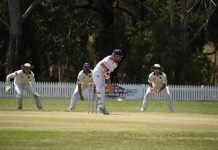 Home ground advantage well utilised