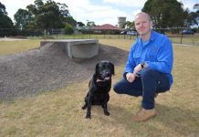 Dog park development