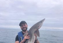 Top conditions prevail