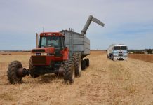 Guide to machinery buying