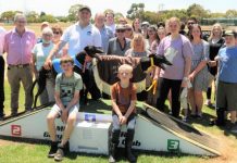 The Eagle lands for local trainer