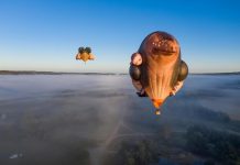 Skywhales coming to Bordertown