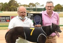 Newcomers raise the bar