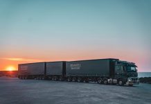 Career in forestry opportunities