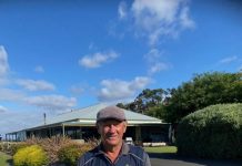 Fox cleans the course