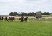 Track passes initial test