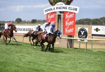 Cup win eventually came to fruition