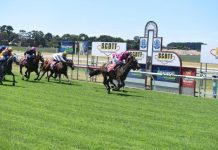 Sensational return to Glenburnie