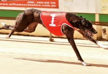 Third Tara Raceway record falls in just over a fortnight