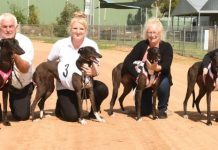 Price equals best-ever day at the track