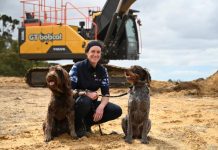 Multi-million dollar vet clinic underway