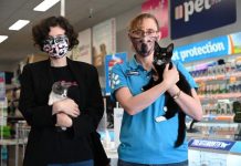 Adoption Month returns