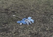 Pitch devoured at sports park