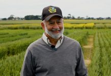 Weed management practices