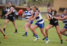 Demons set the benchmark