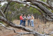 Don’t build on Matheson Reserve