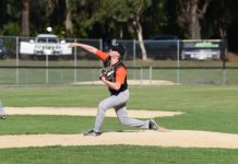 Tigers through to big dance