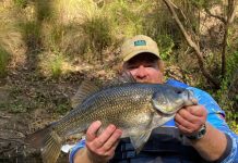 Tuna finally in the news