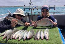 Conditions favour anglers