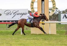 International success for local rider