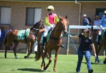 Regained that winning feeling