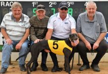 Holly defies the odds