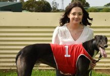 This giant is no flash in the pan