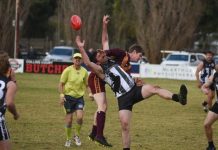 Umpires in the spotlight