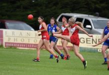 Strong results across the board