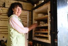 Sculpting a lifestyle