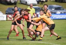 Tigers roar in opening round