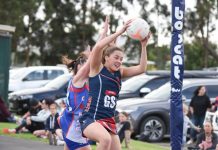 Roos bound to victory