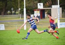 Cats break long-lasting drought