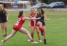 Season honours on the line