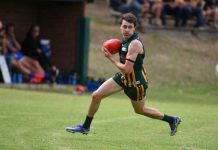 Mozzies in the hot seat