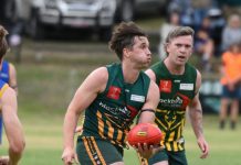 Mozzies set for another victory