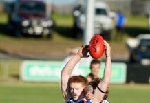 Cats claw their way to victory