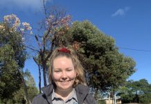 Autumn a good time for fox control