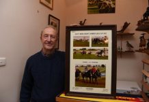 Best cup field for years