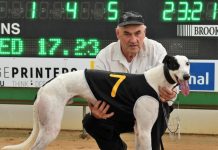 Louie continues litter’s successful run