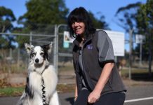 Hastings Cunningham dog park not up to scratch